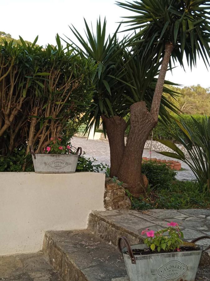 Julietta Suites Argostoli  Exterior photo