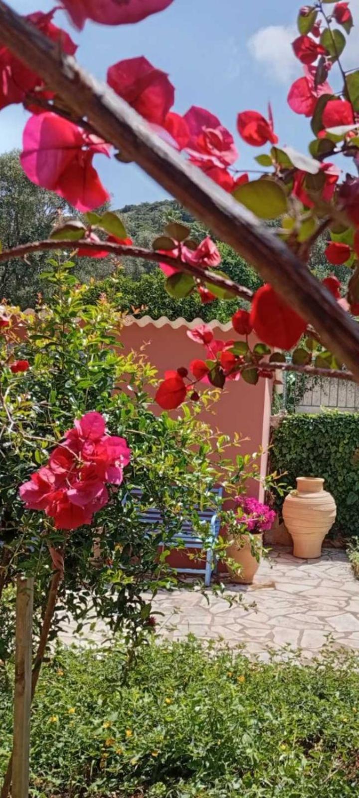 Julietta Suites Argostoli  Exterior photo